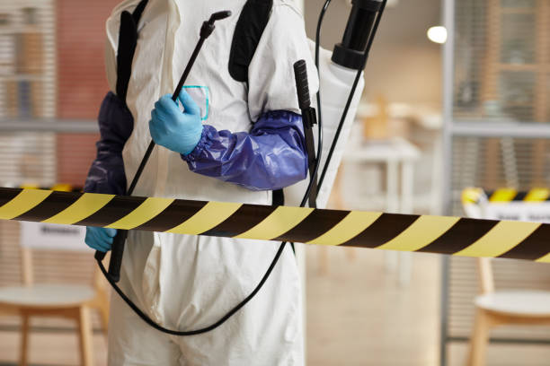 Professional Sewage Cleanup technician working in Melbourne, AR
